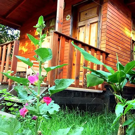 No:1281 Boutique Guest house Adrasan