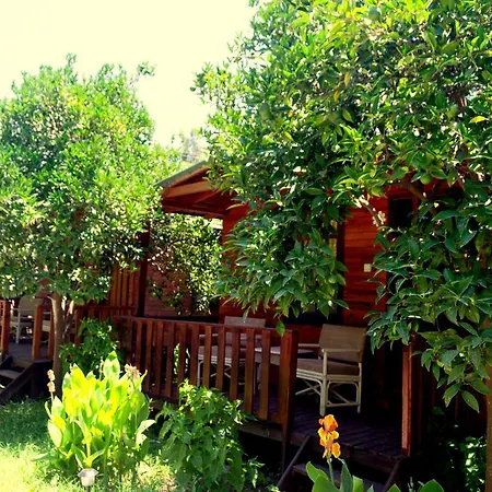 Guest house No:1281 Boutique Adrasan