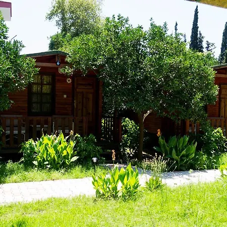 No:1281 Boutique Guest house *