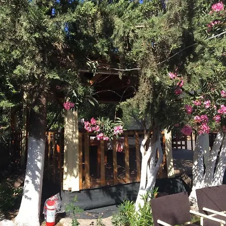 Guest house No:1281 Boutique Adrasan