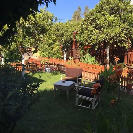 No:1281 Boutique Guest house