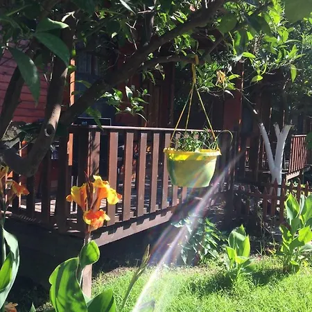 No:1281 Boutique Guest house Adrasan
