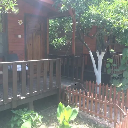 Guest house No:1281 Boutique